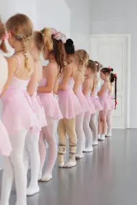 ダンス・バレエ教室 システム導入事例